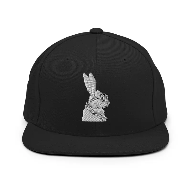 Logo Snapback