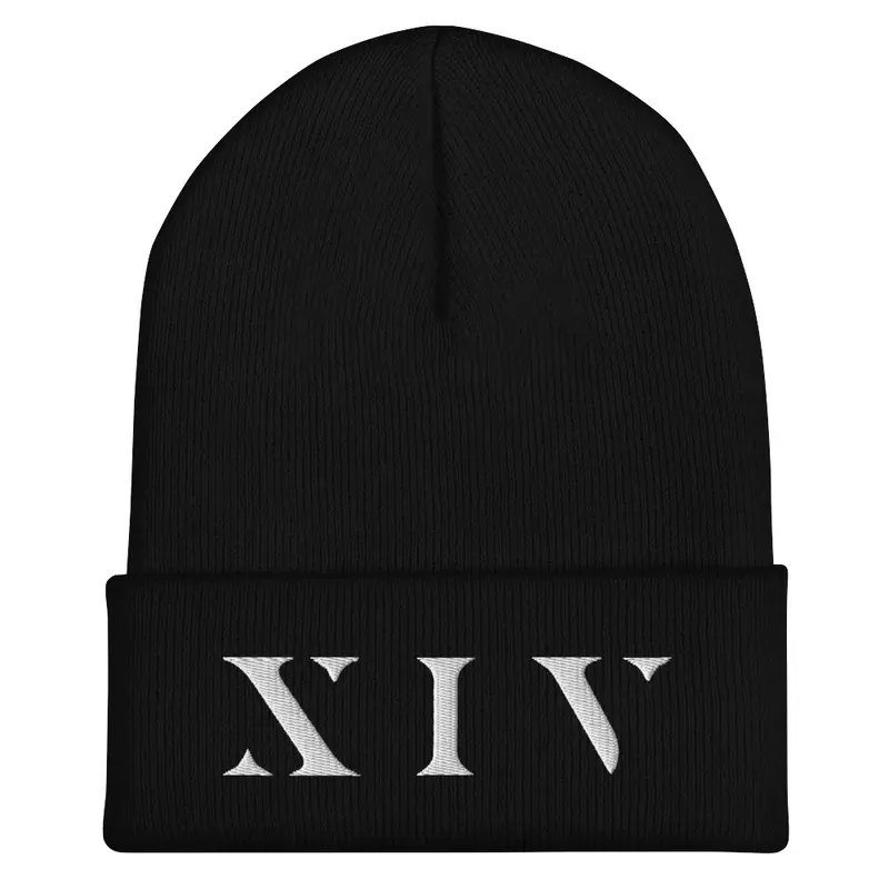 Black X I V Beanie White Logo